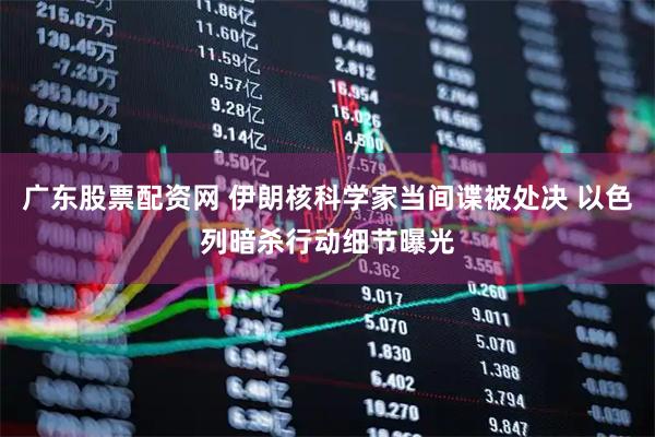 广东股票配资网 伊朗核科学家当间谍被处决 以色列暗杀行动细节曝光