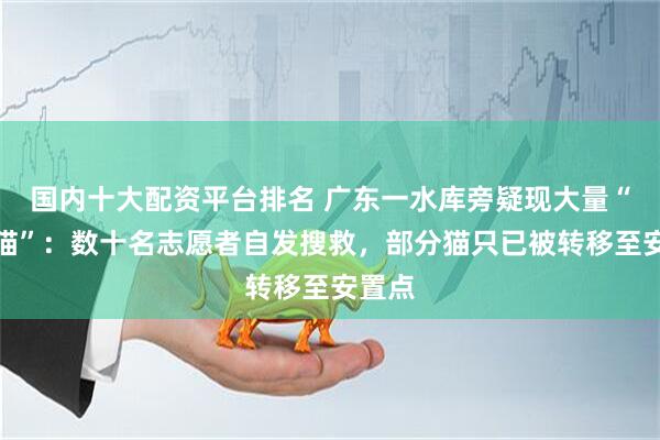 国内十大配资平台排名 广东一水库旁疑现大量“放生猫”:数十名志愿者自发搜救,部分猫只已被转移至安置点